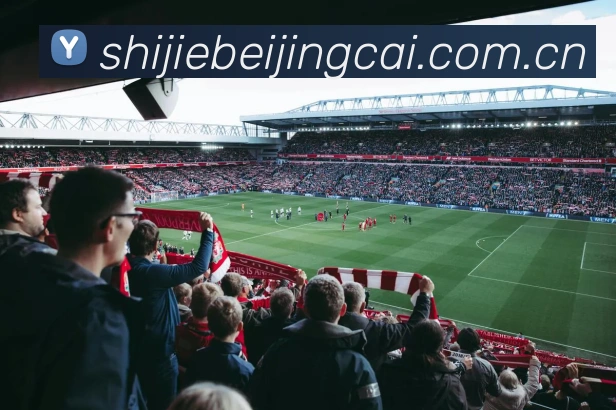 世界杯竞彩平台生态图